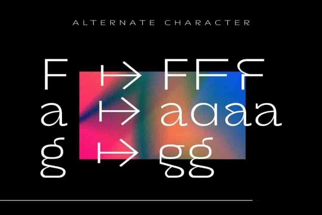 清新现代无衬线字体