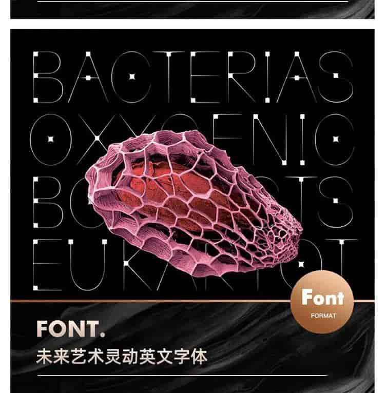 百套超有设计感字体