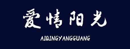 专业人士精心挑选的300多款中英文字体!