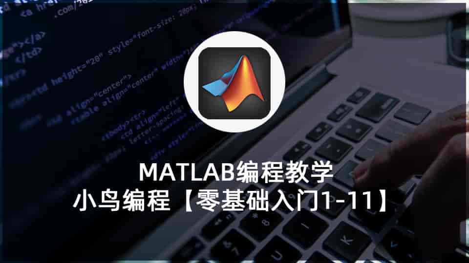 MATLAB编程教学•小鸟编程【零基础入门1-11】