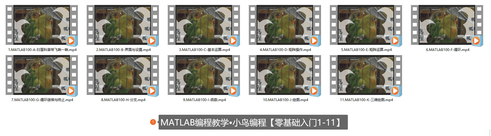 MATLAB编程教学•小鸟编程【零基础入门1-11】