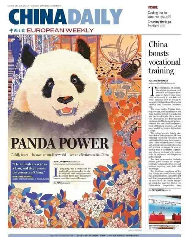 中国日报海外版画报300张