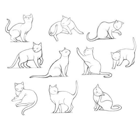 兔子和猫绘画参考素材