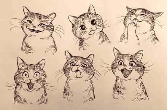 兔子和猫绘画参考素材