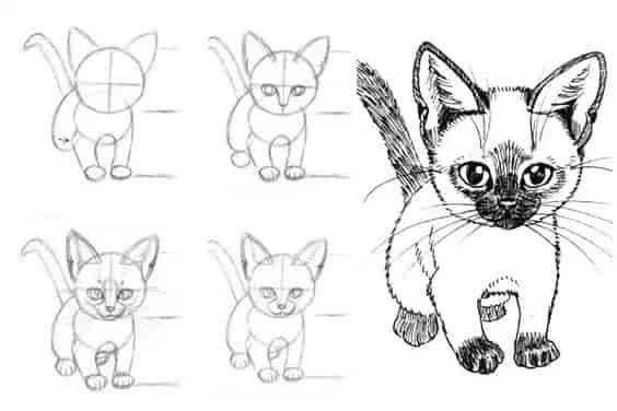 兔子和猫绘画参考素材