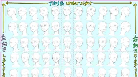 人物脸型、头发、人体背部绘画参考素材