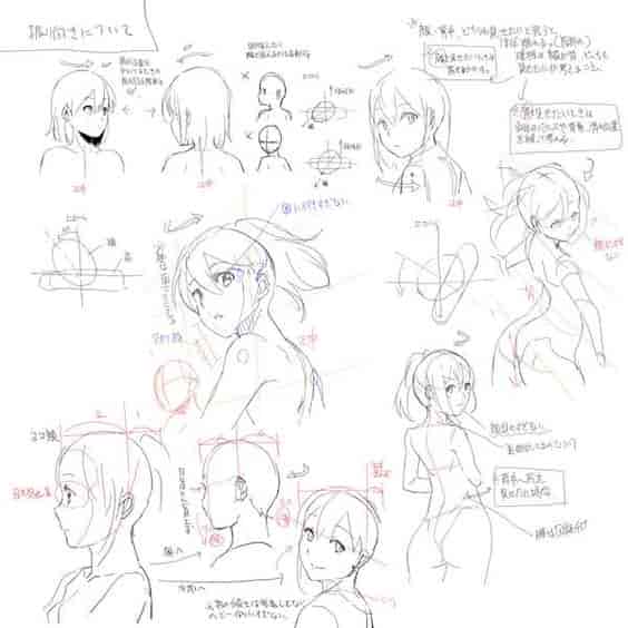 人物脸型、头发、人体背部绘画参考素材