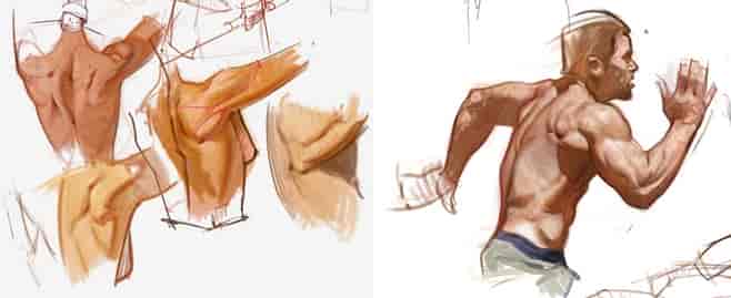 人物脸型、头发、人体背部绘画参考素材