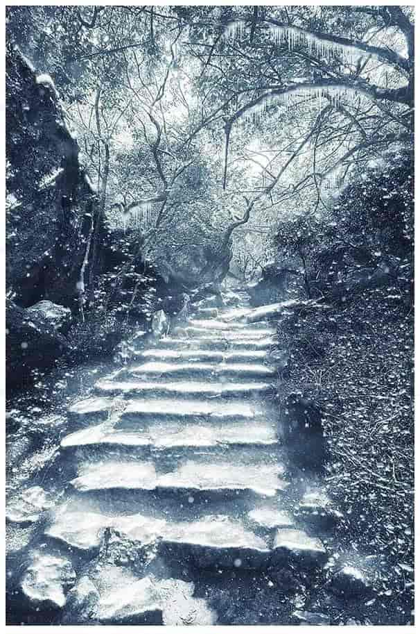 这款PS动作神了,一键变成雪场景。