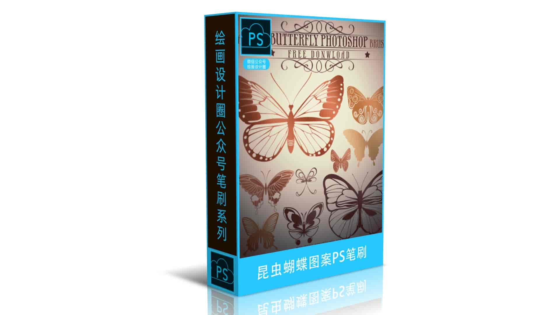 昆虫蝴蝶图案PS笔刷
