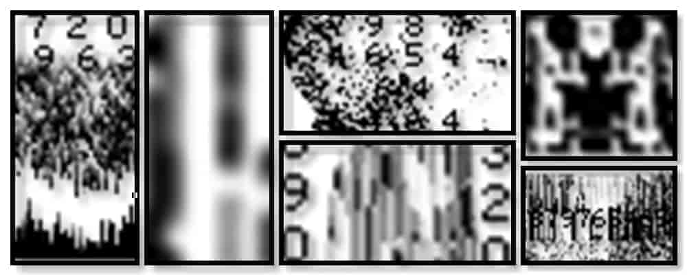 6款带数字条纹笔刷