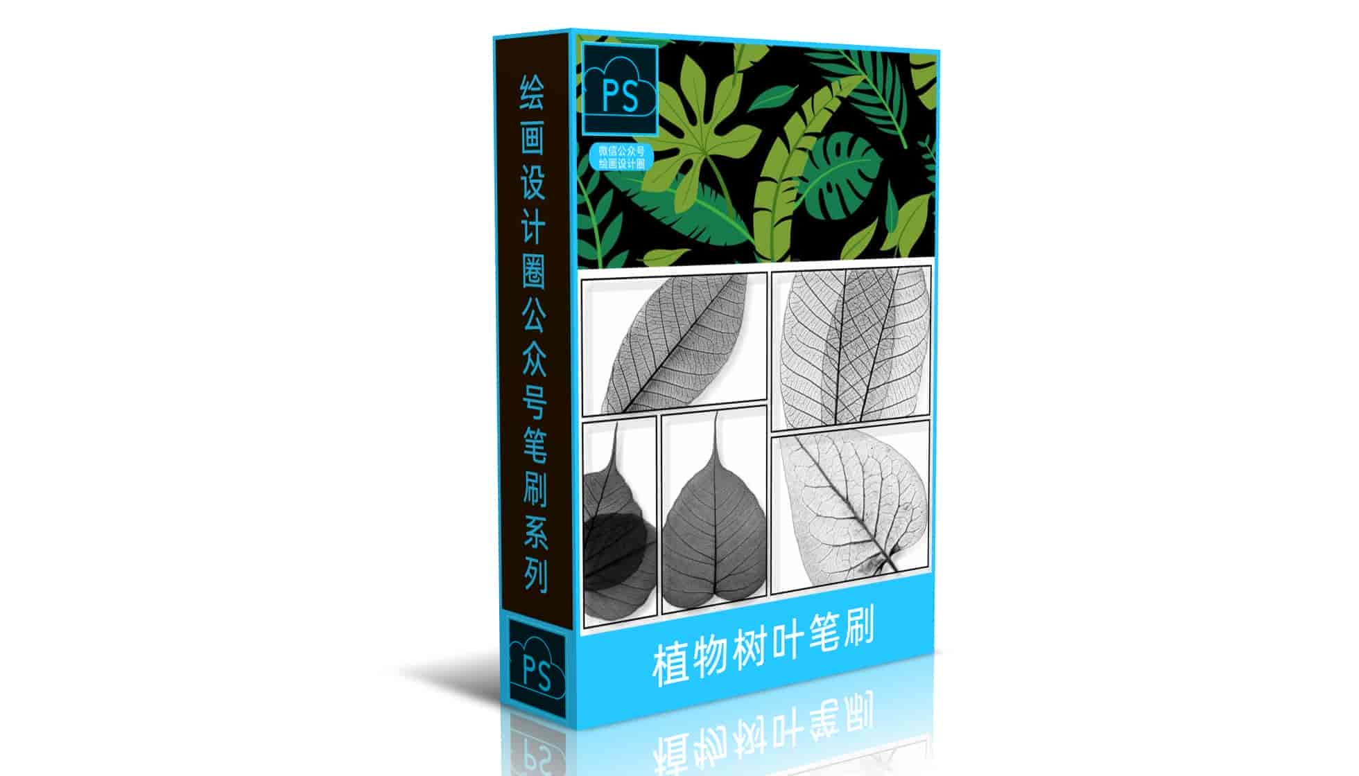 植物树叶笔刷