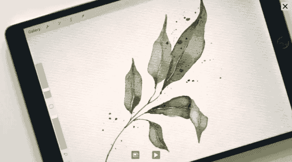 Procreate水彩质感笔刷