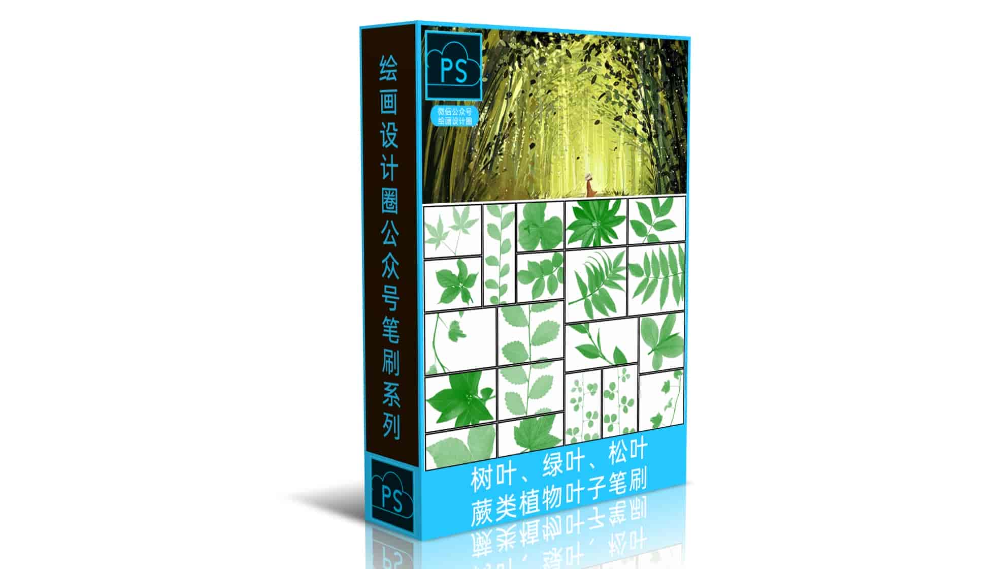 真实树叶、绿叶、松叶、蕨类植物叶子PS笔刷