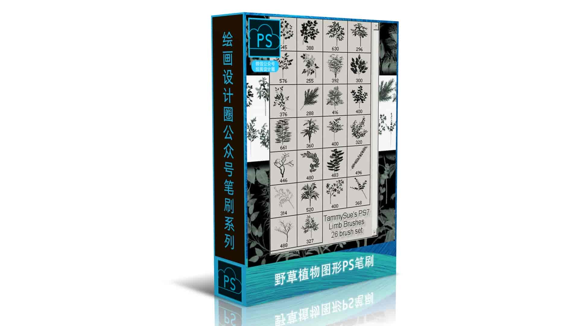 野草植物图形PS笔刷