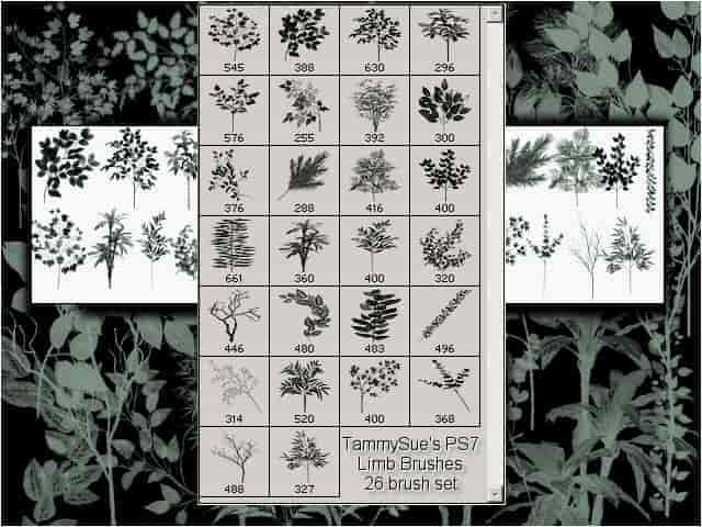 野草植物图形PS笔刷