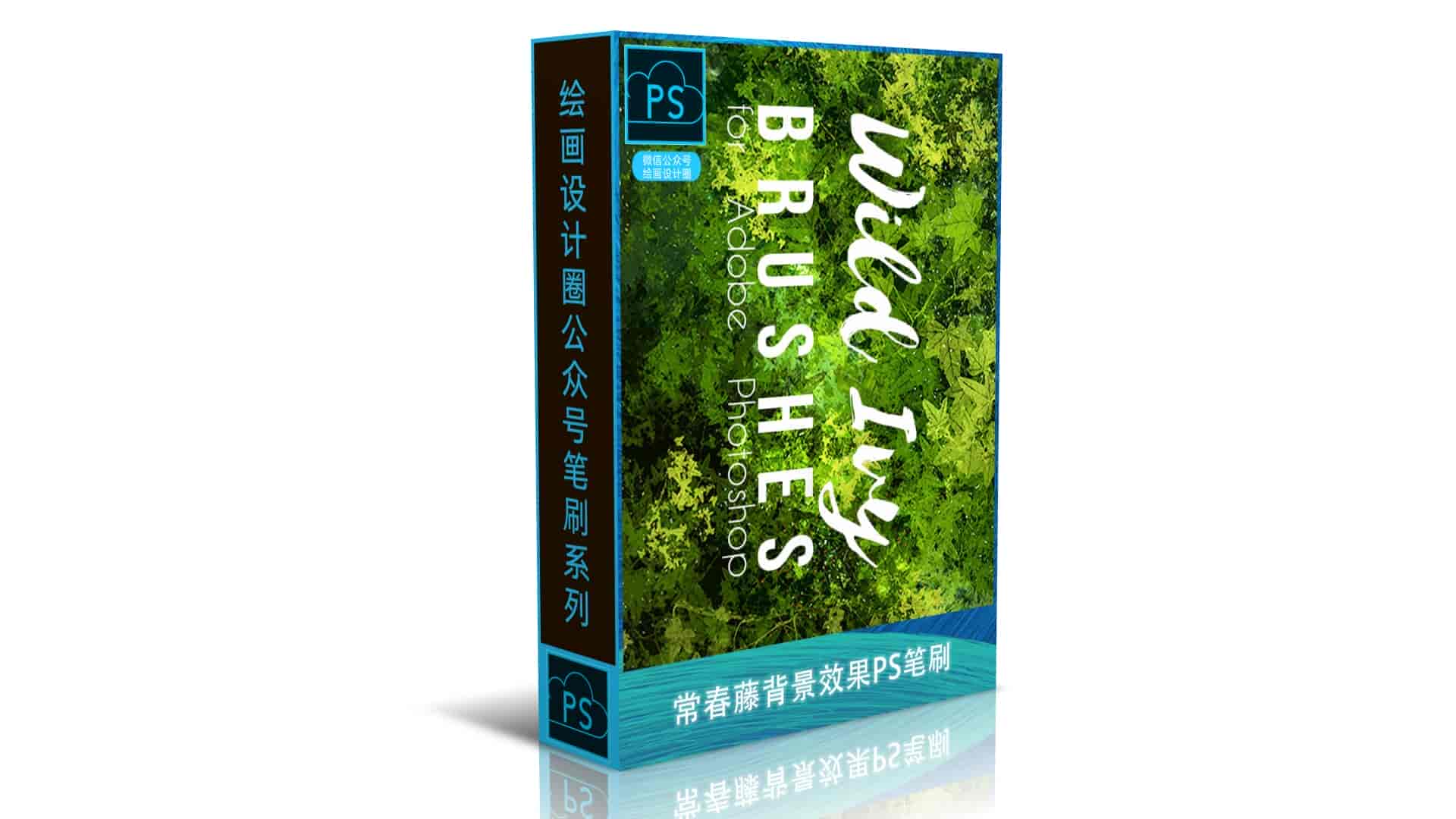 常春藤背景效果PS笔刷