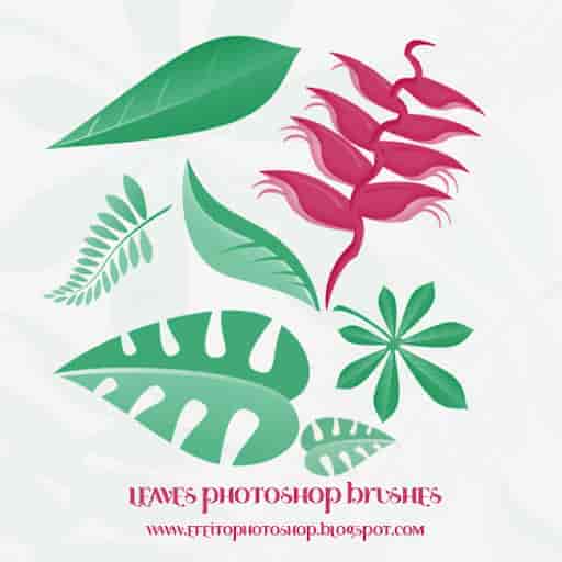 矢量风格的植物叶子PS笔刷