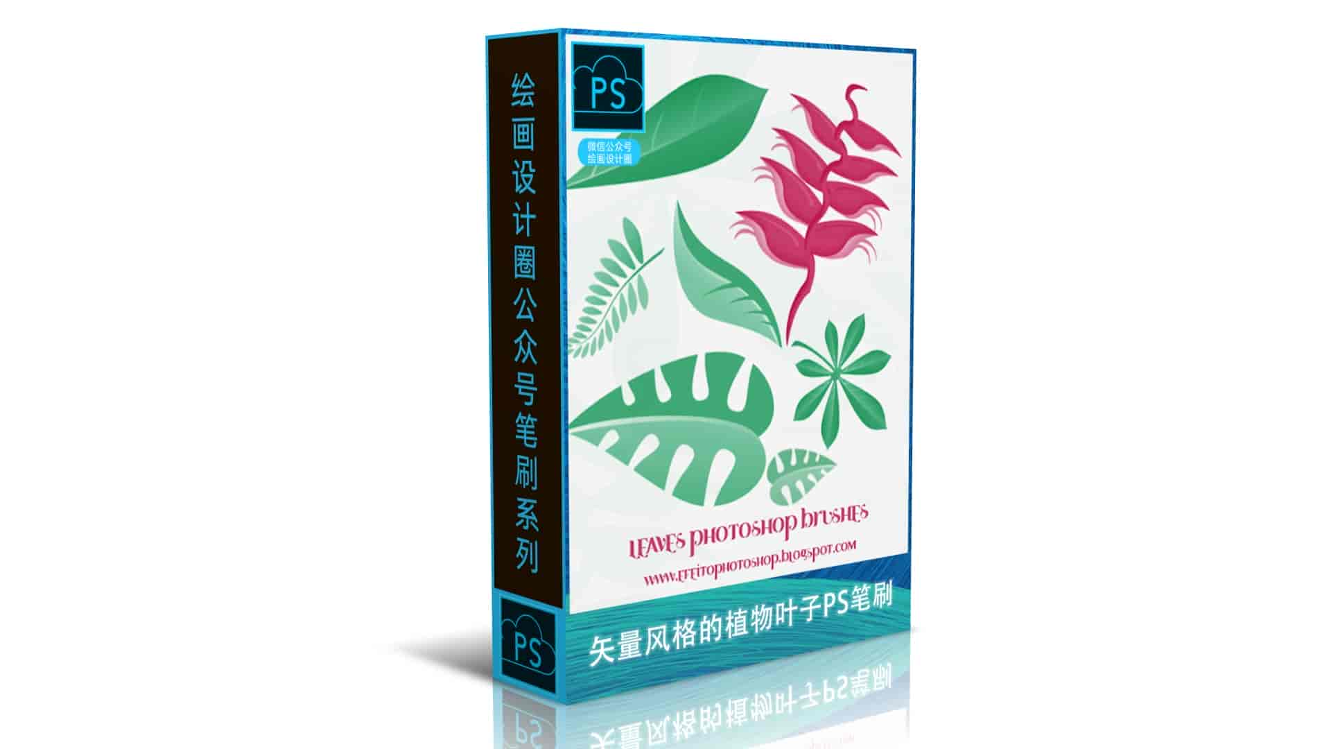 矢量风格的植物叶子PS笔刷
