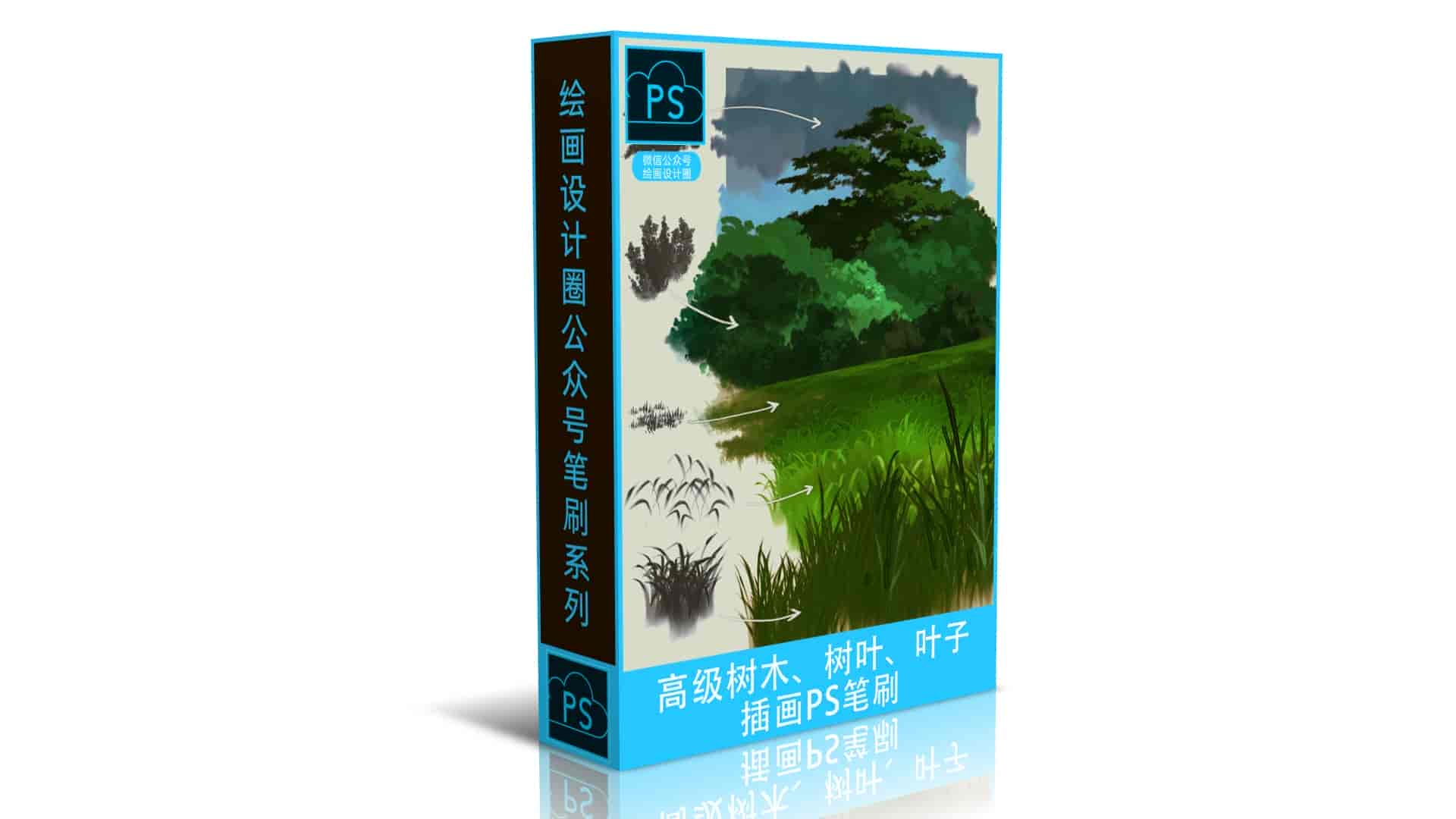 高级树木、树叶、叶子插画PS笔刷