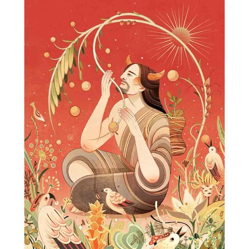 倪传婧插画课程18节+1200张经典作品集