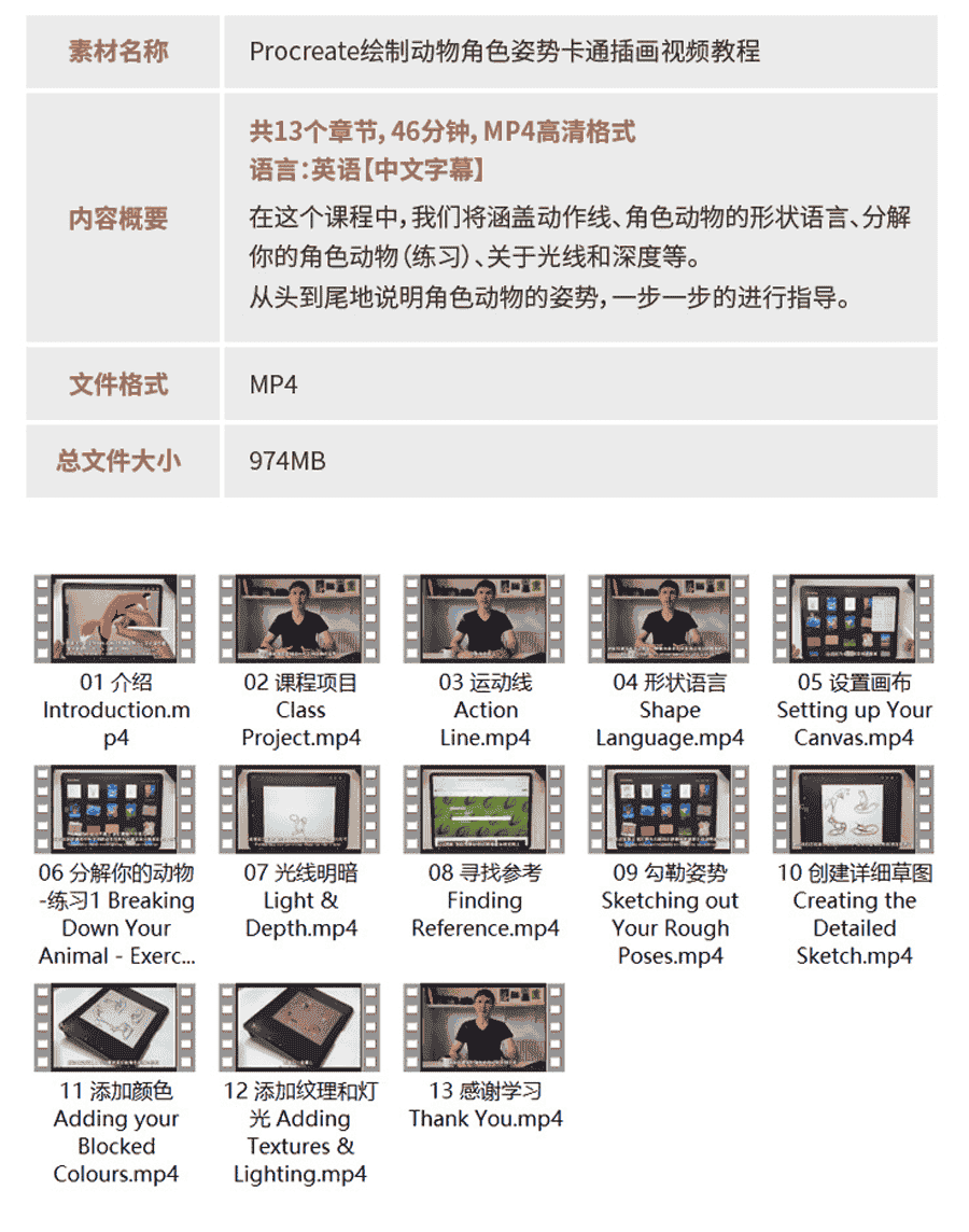 Procreate大师级动物绘画全套教程