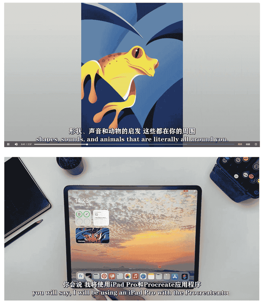 Procreate大师级动物绘画全套教程
