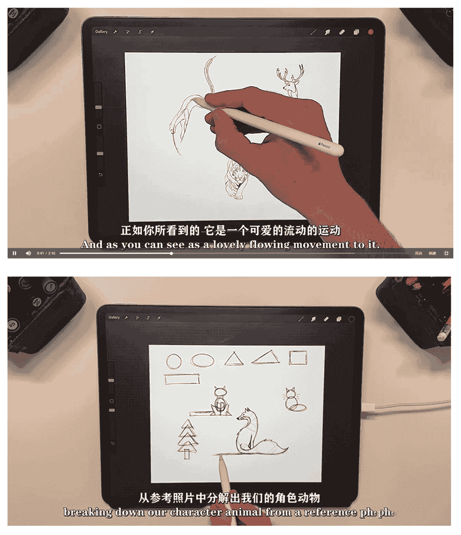 Procreate大师级动物绘画全套教程