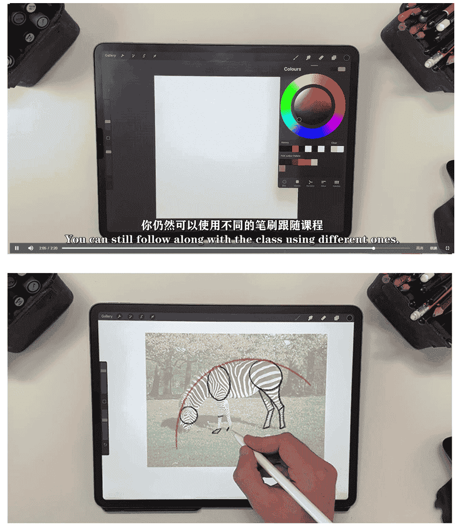 Procreate大师级动物绘画全套教程