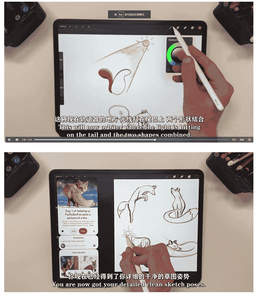 Procreate大师级动物绘画全套教程
