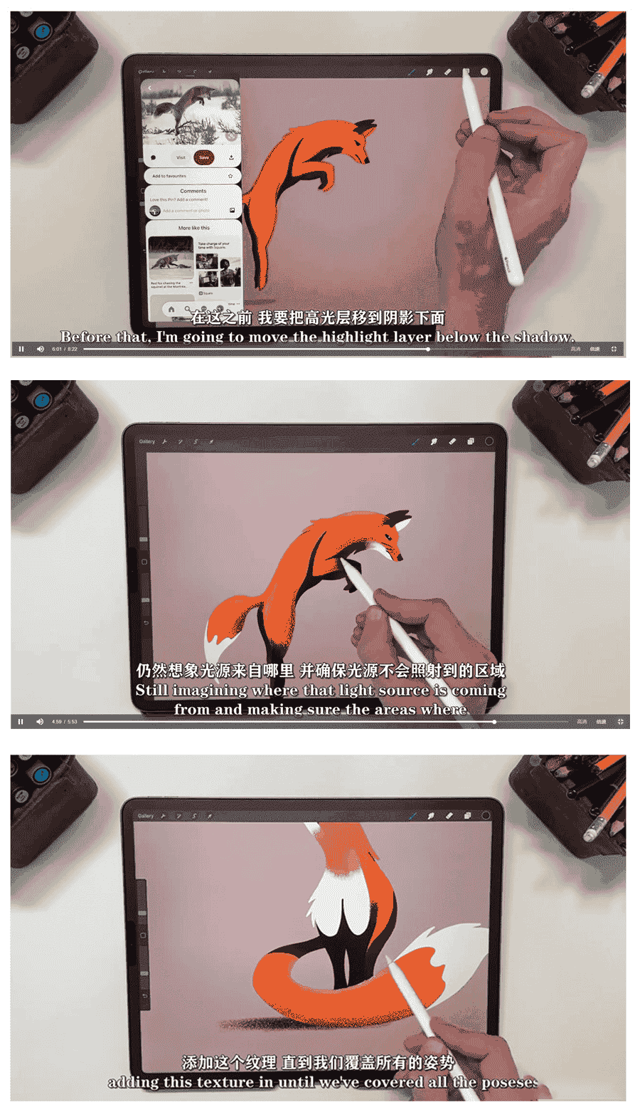 Procreate大师级动物绘画全套教程