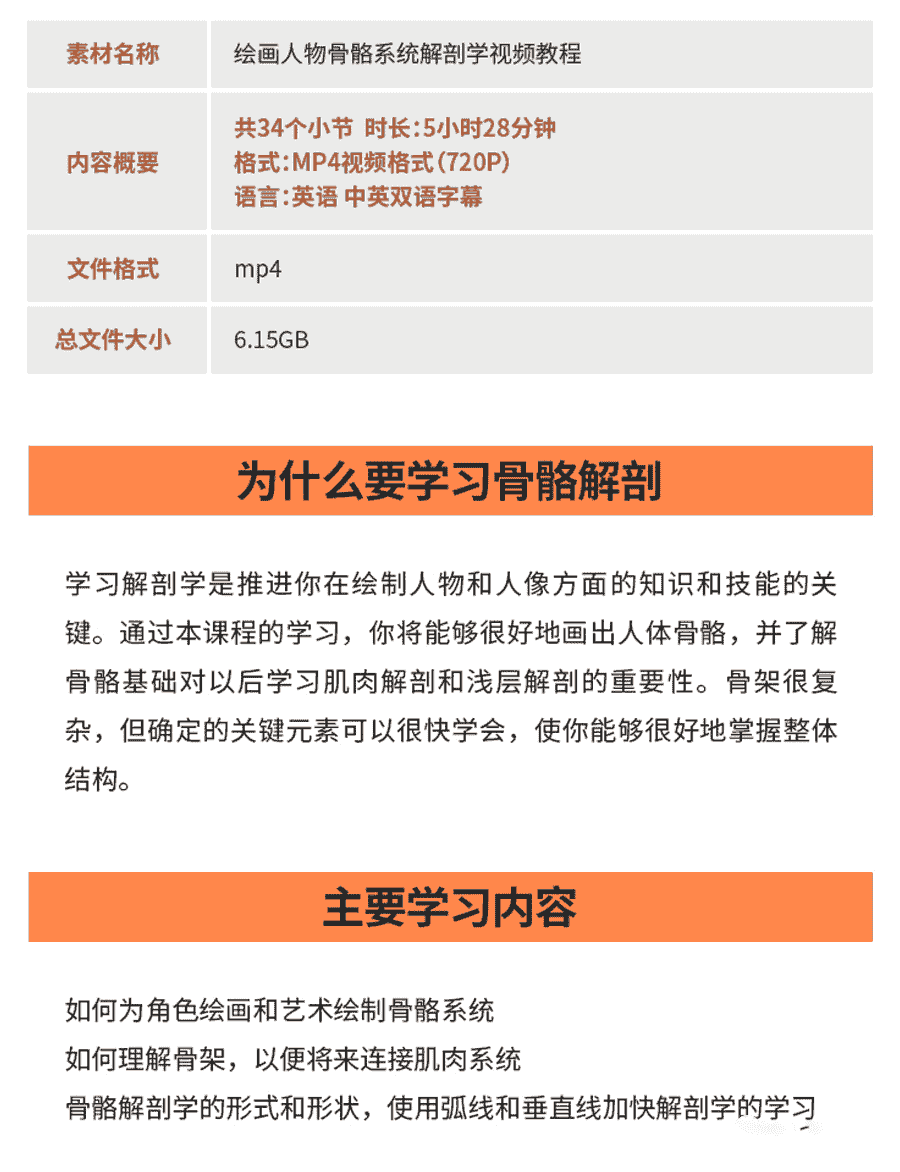 人体绘画骨骼解剖学教程