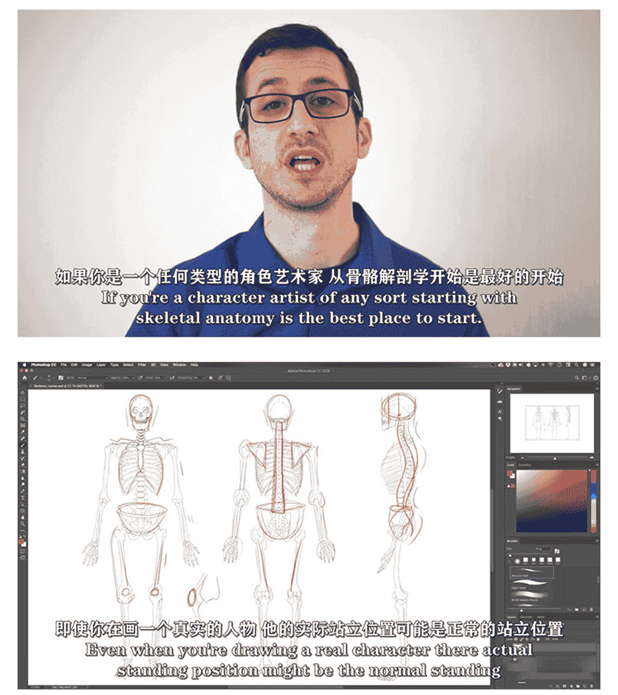人体绘画骨骼解剖学教程