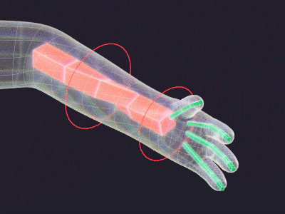 C4D角色动画教程