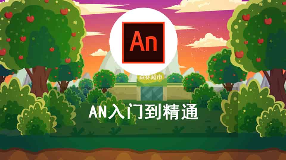 AN入门到精通