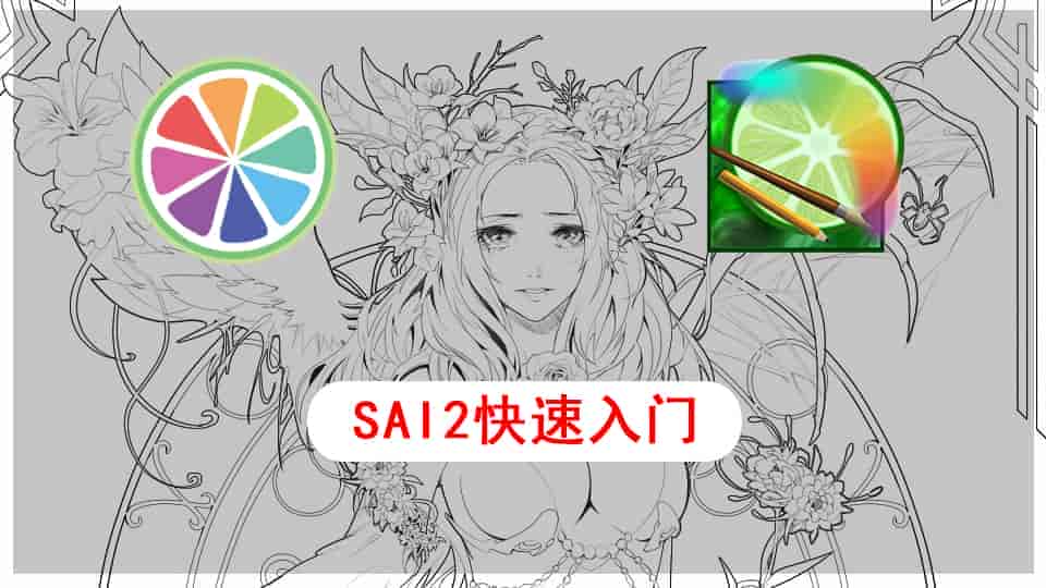 SAI2快速入门成品无字幕