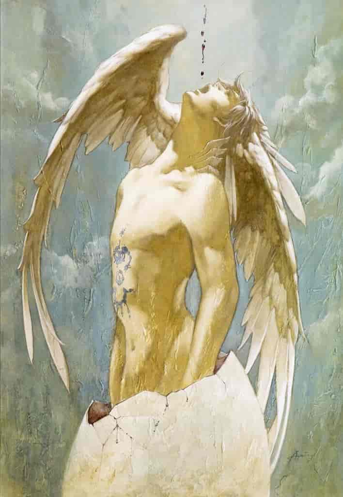 小岛文美恶魔城画集两套