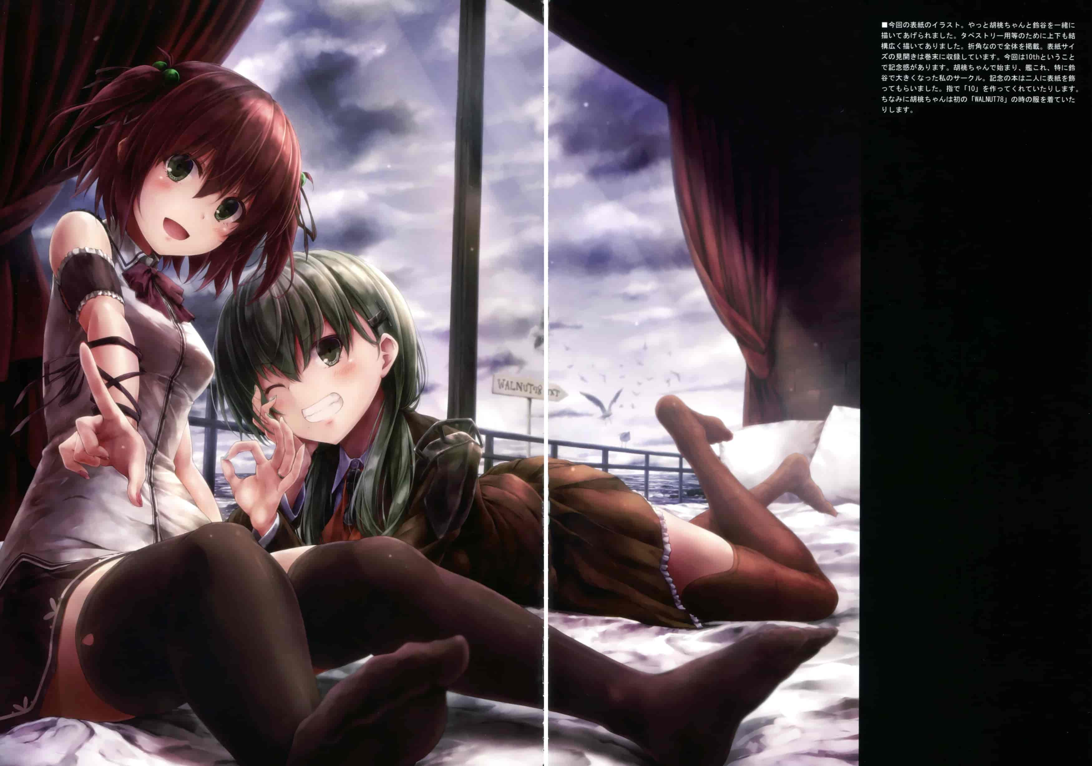 画集[翠苑 (翠燕)]WALNUT78 10th 舰娘同人画集[31P]