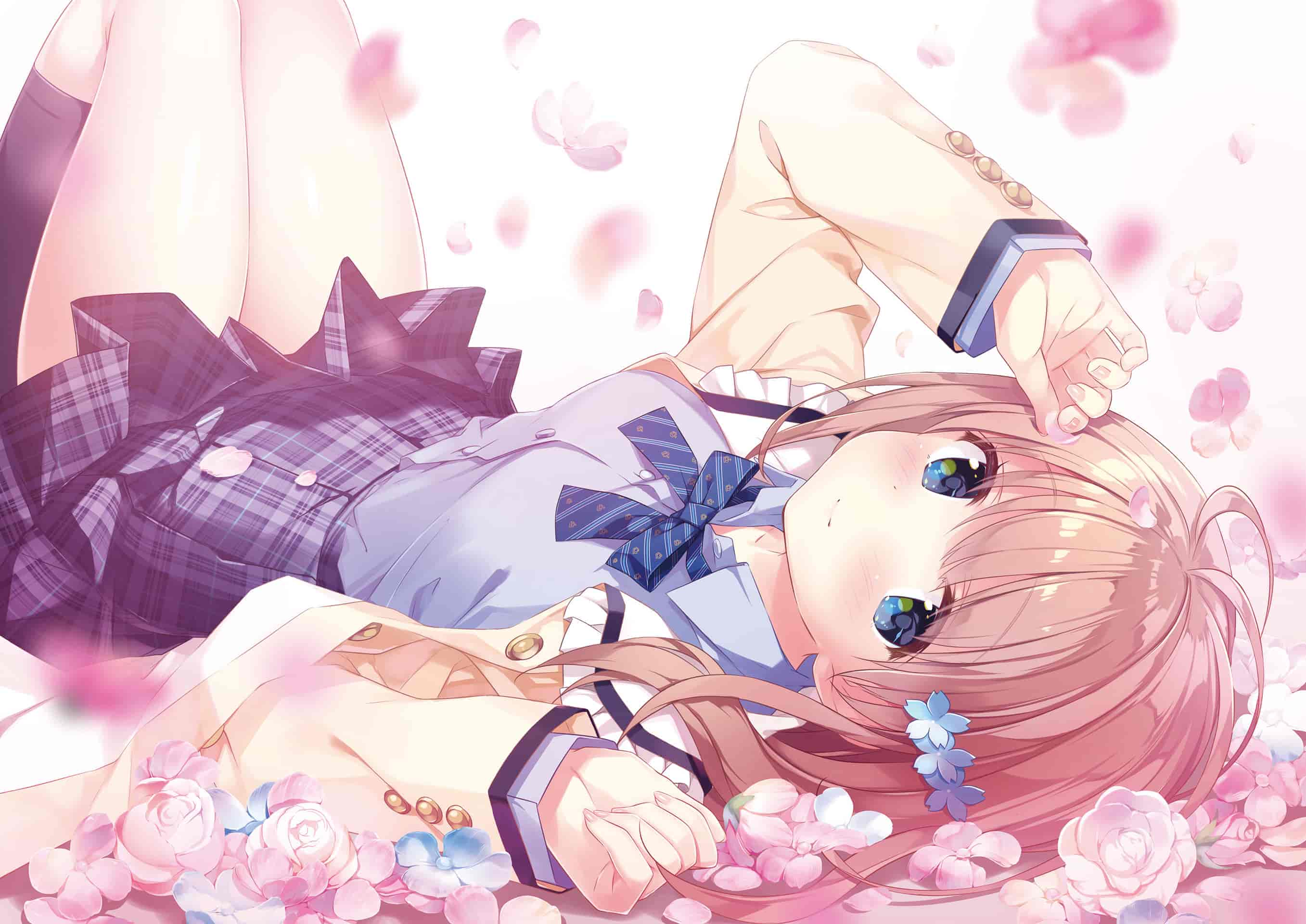 きみしま青画集 Bloomin'[111P]