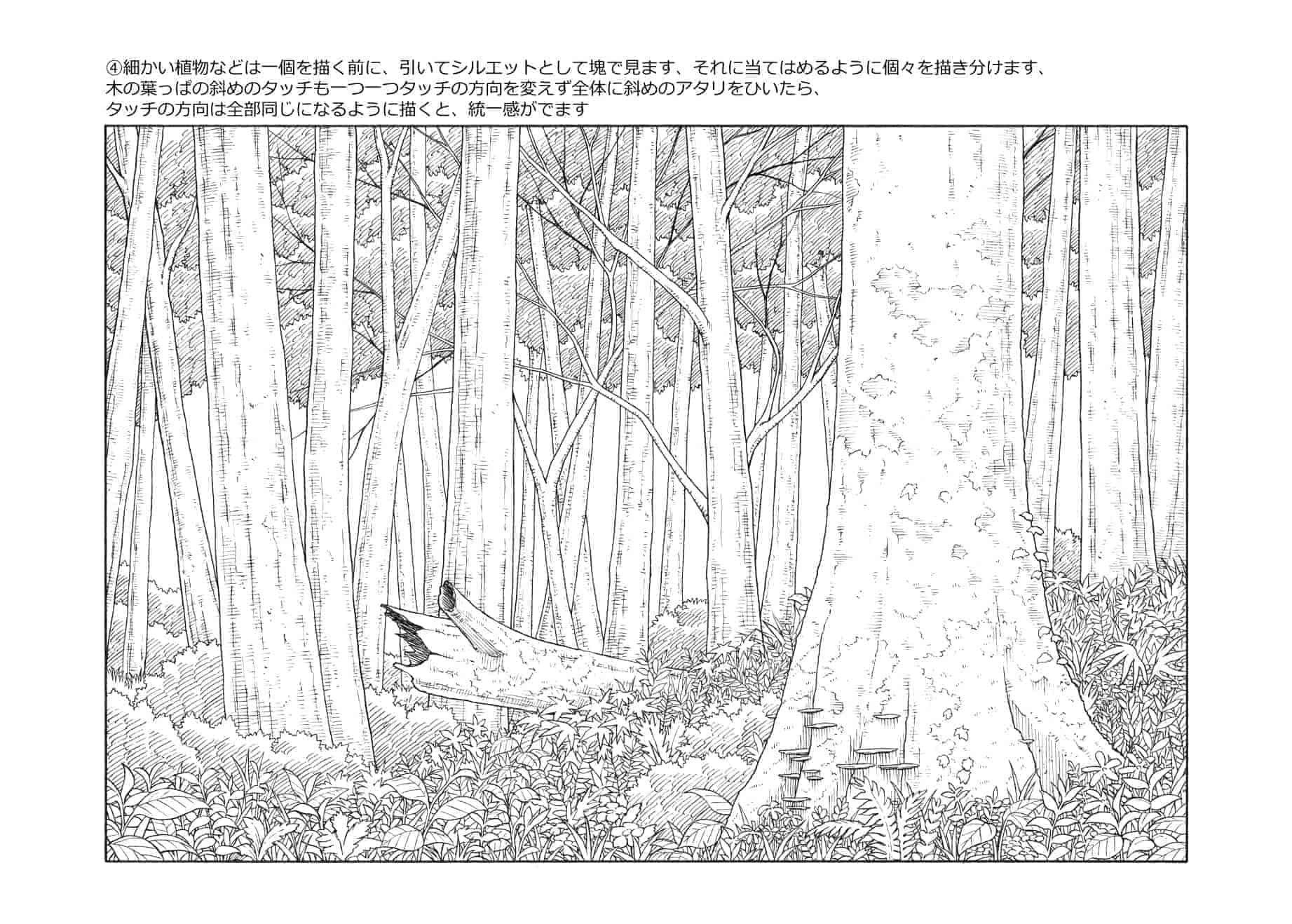 日文无版权限制的背景插图素材集 森林篇+荒野篇[50P]
