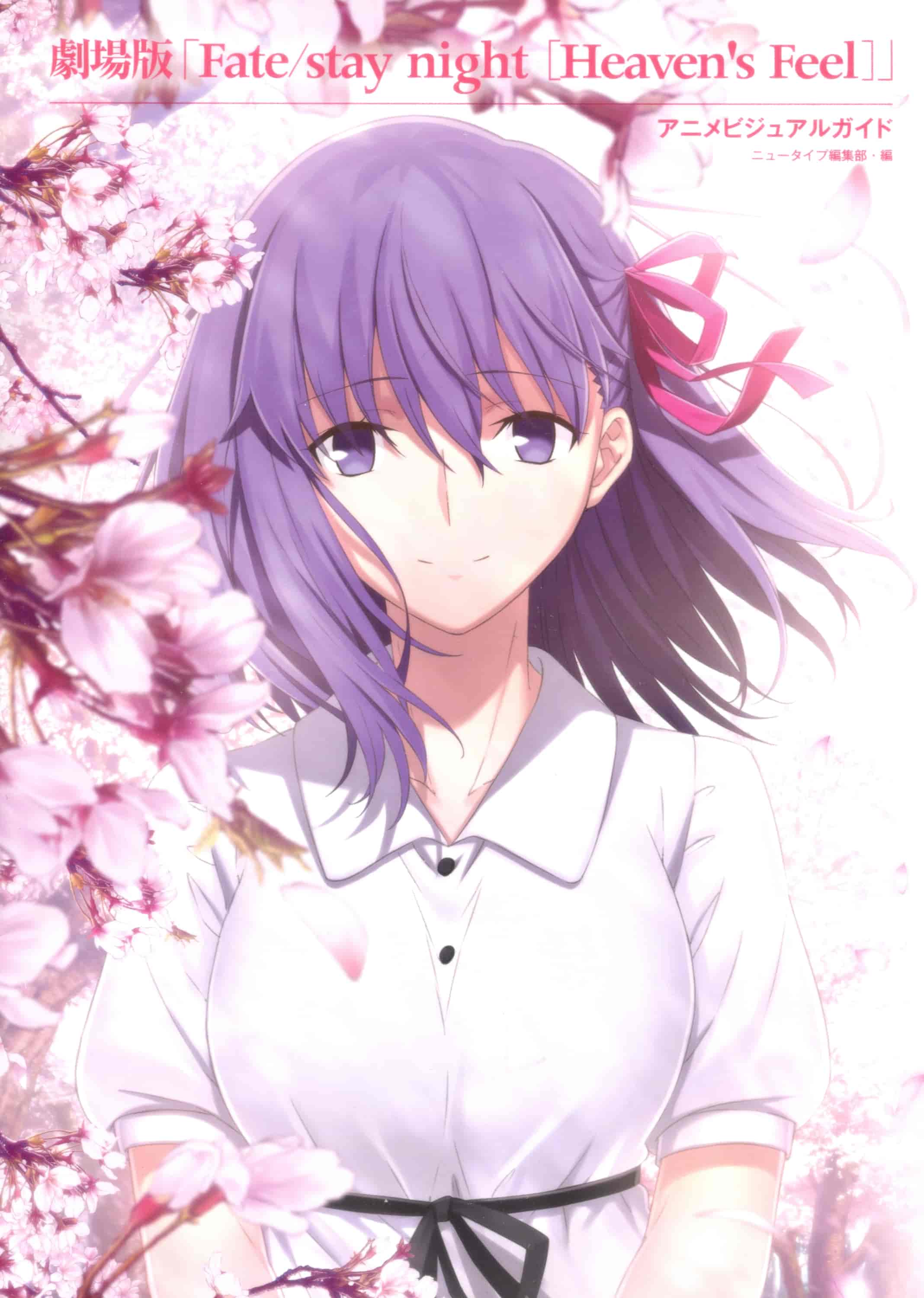 Fate/stay night Heaven`s Feel Animation Visual Guide[201P]