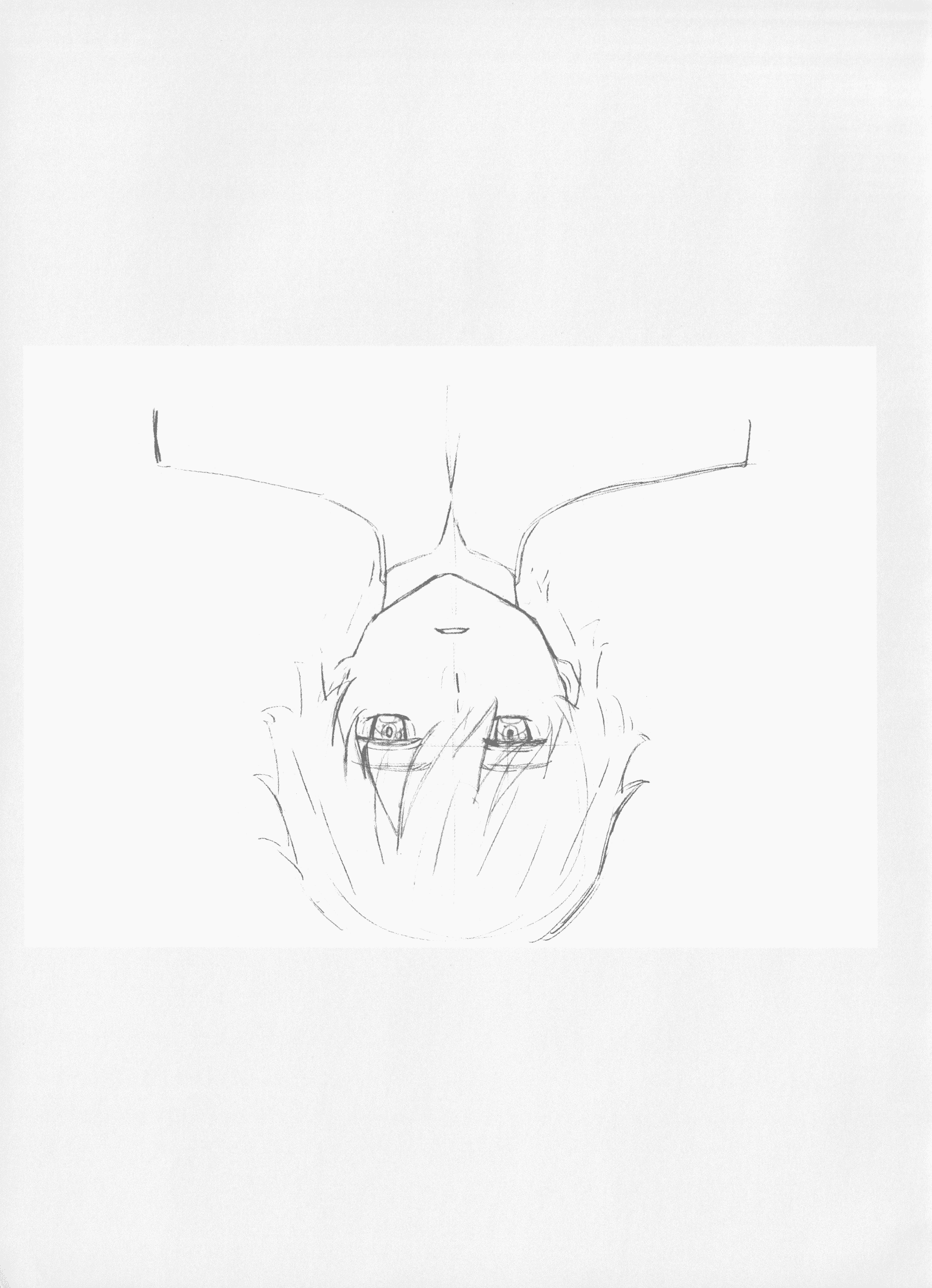 DARLING in the FRANXX Key 动画线稿集1[80P]