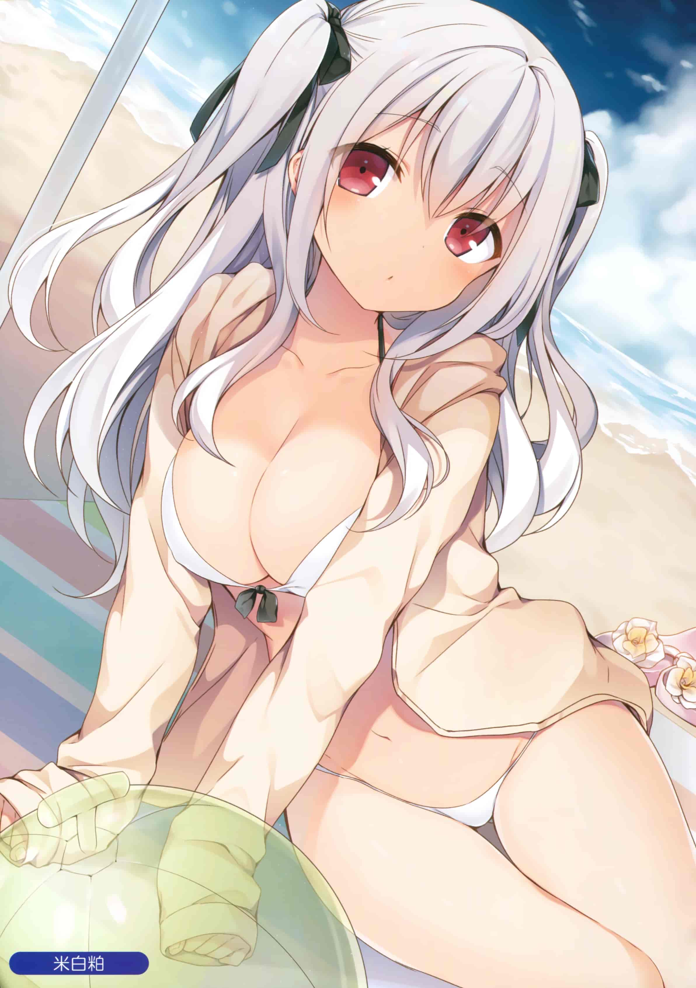 MELONBOOKS C90 Collection of Pictures[26P]