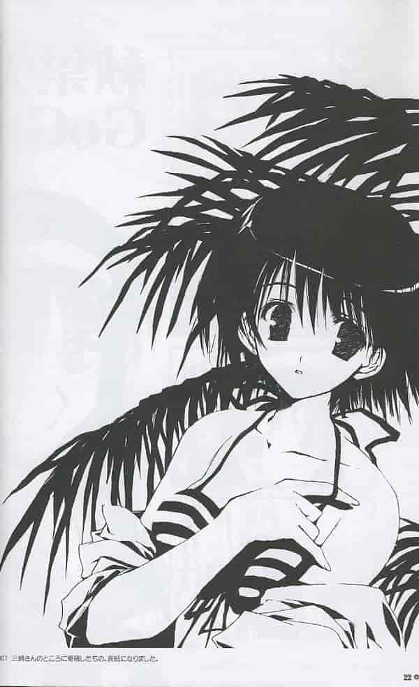 CUT A DASH!! (みつみ美里) GIFTWRAP[37P]