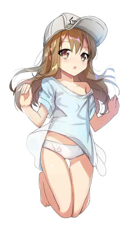 工作细胞血小板 高清图片CG包[470P]