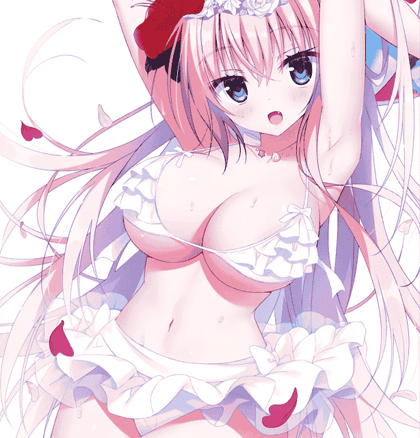 おとなの萌王 開放的すぎる♥水着姿がみたい本[25P]