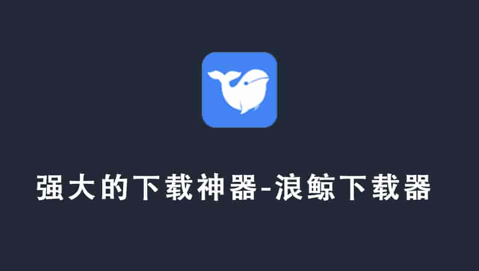 强大的下载神器-浪鲸下载器