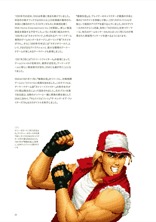 NEOGEO A VISUAL HISTORY ネオジオ～目で楽しむ軌跡～[405P]