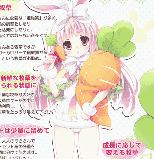 ロリとら!! (月嶋ゆうこ)うささんのキモチ NO.02[11P]