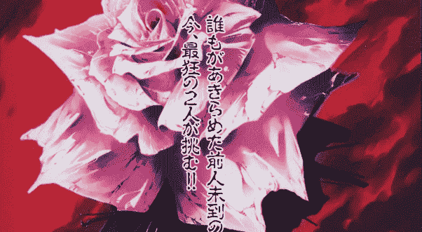 Cave鋳薔薇 The Lunatic INSANITY[54P]